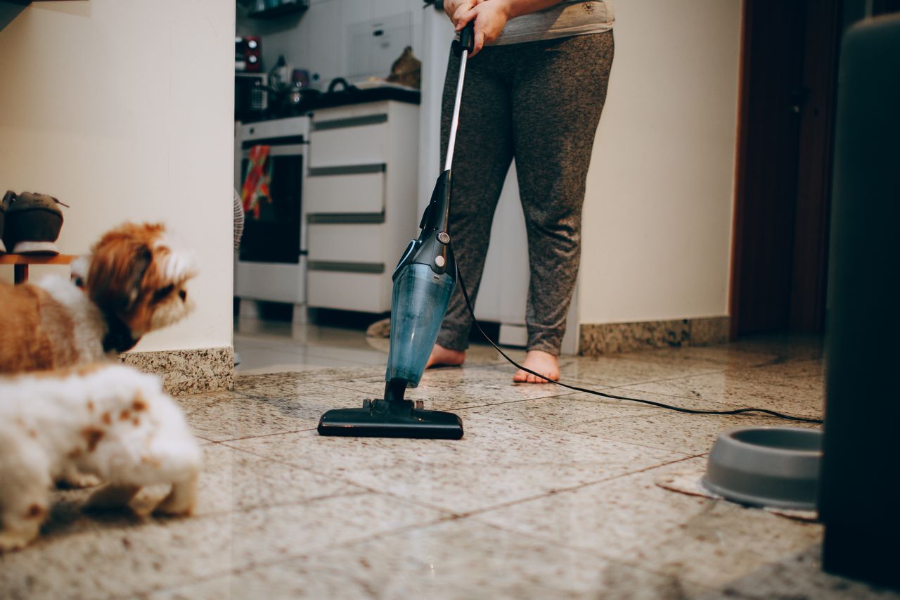 about-01 A woman cleaning the floor with a vacuum cleaner while a dog watches attentively. Indoor home setting.